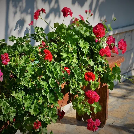 Countryside Getaway Close To The River And The Sea Apartman *