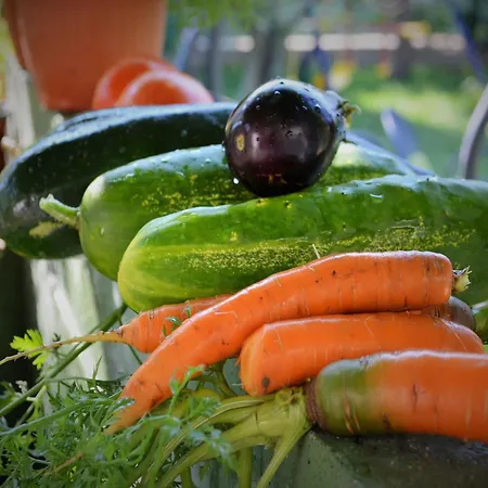 Countryside Getaway Close To The River And The Sea