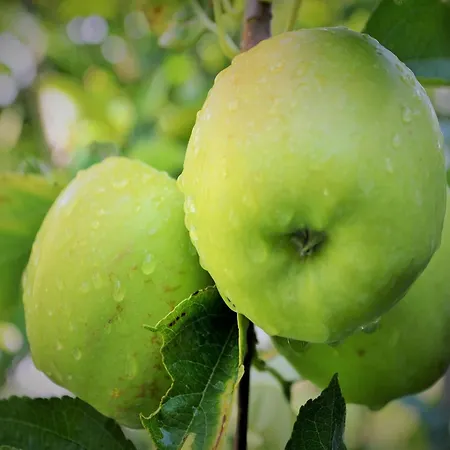 Countryside Getaway Close To The River And The Sea Apartman