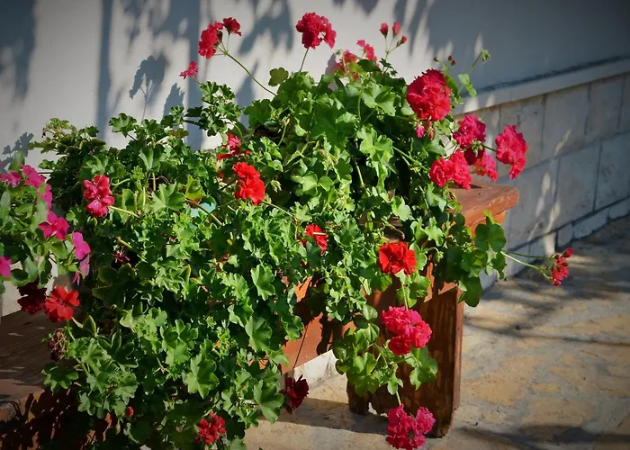 Countryside Getaway Close To The River And The Sea Apartamento *